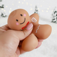 Gingerbread Squishy