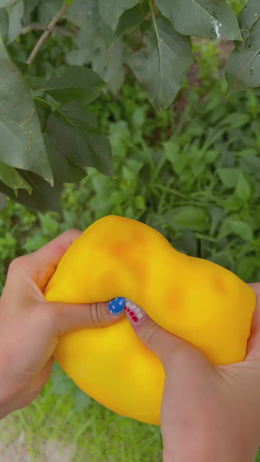 Say Cheese! Squishy- Slow Rise Stress Refief Toy