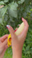 Peeled Banana Taba Squishy Stress Toy